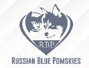 Russian Blue Pomskies logo